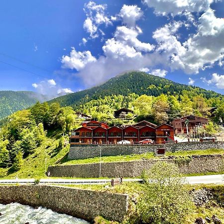 Green Cinar Apart Uzungöl Kültér fotó